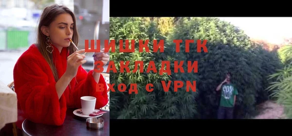 эйфоретик Новодвинск