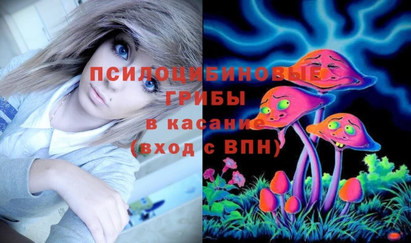 прущая мука Новозыбков