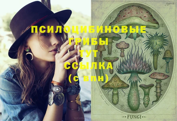 эйфоретик Новодвинск