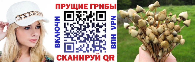 Галлюциногенные грибы мухоморы  Южа 